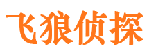 湟源市私家侦探